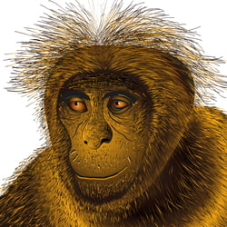 Bigfoot
