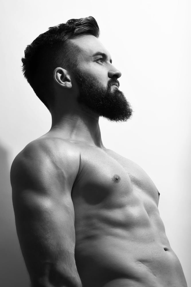 Model: Willi S