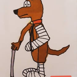 Tag 29: Ein verletzter #Hund! 