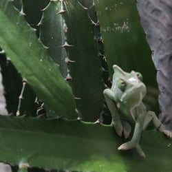 IMG 0257