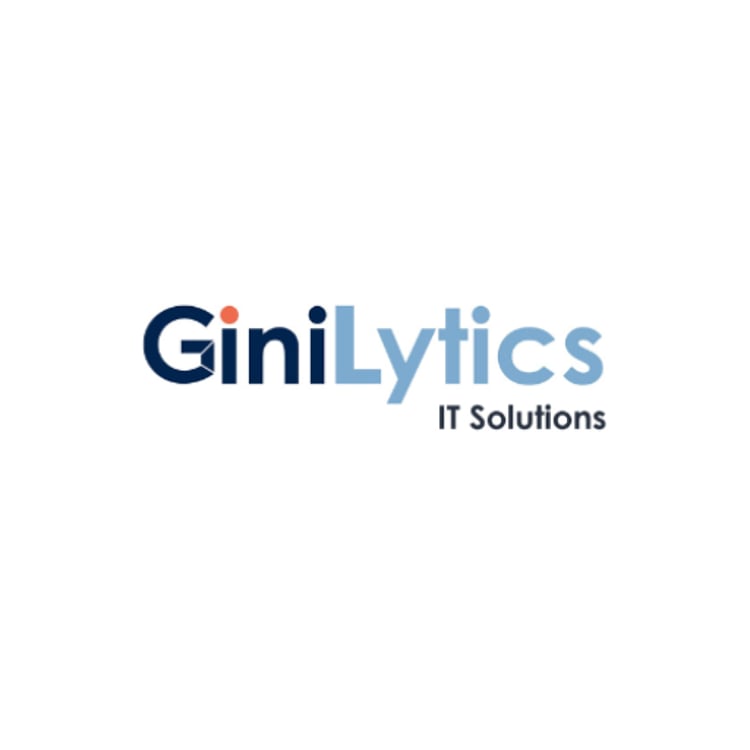 GiniLytics IT Soluitons
