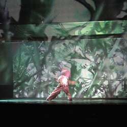 MOVING GALLERY. Performance 2001 – 2003