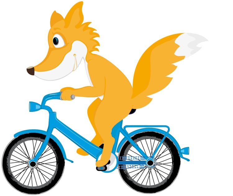 Fuchs auf Fahrrad