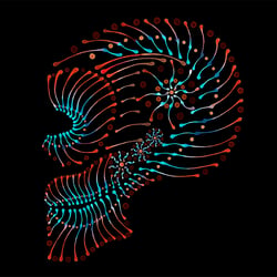 SKULL V1 / mixed / http://www.farbtunnel.de/dotting-art/