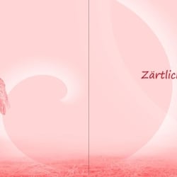 11zaertichkeit einf neu