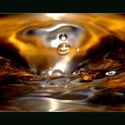 Ohne Titel