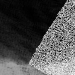 PHOTOGRAMS V