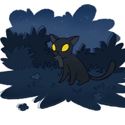 Katze