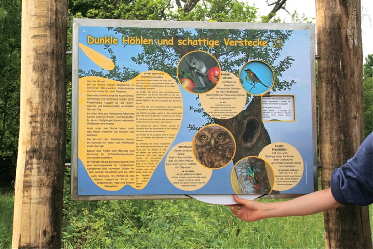 Bienen- und Streuobst-Infopfad