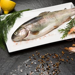Frischer Fisch
