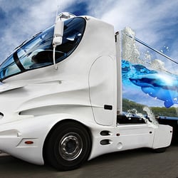 Shark-Truck