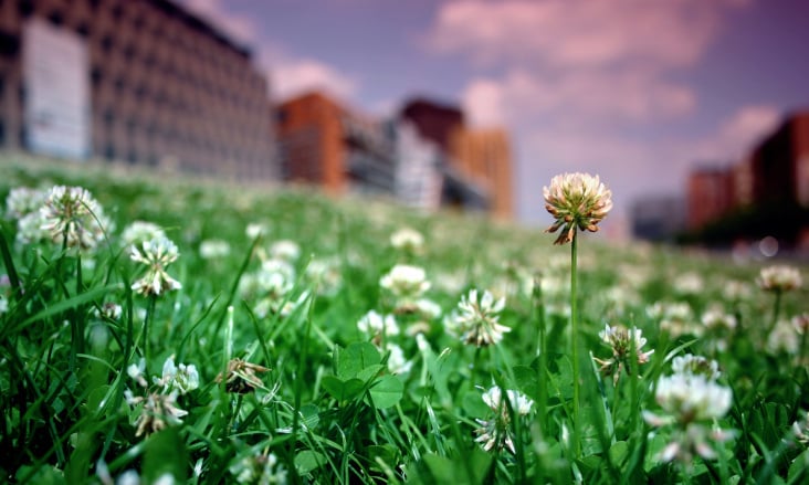 Berlin, Potsdamer Platz