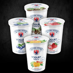 Vollmilch Joghurt 500 g – Becher und Platine