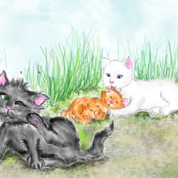 Katzen