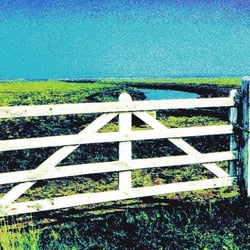 Hallig-Krimi