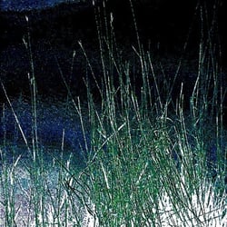Hallig-Krimi