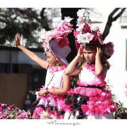 Festa do Flor