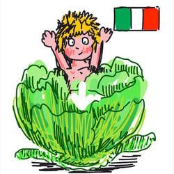 ‚INSALATA‘