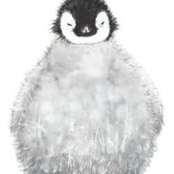 Little Pinguin