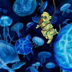 Jellyfish