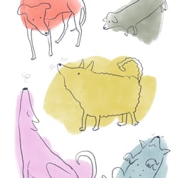 Bunte Hunde