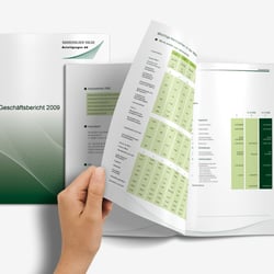 Geschäftsbericht Shareholder Value – Reinzeichnung