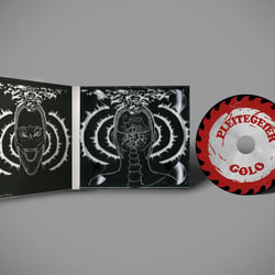 CD Coverdesign & Ilustration für Musiker GOLO