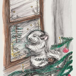 Chinchilla Weihnachtsillustration Am Fenster