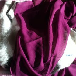 Sleeping Cat.. No. 03