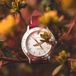 Produktfotos – Alpina