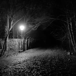 11 BadKleinen  Waldweg
