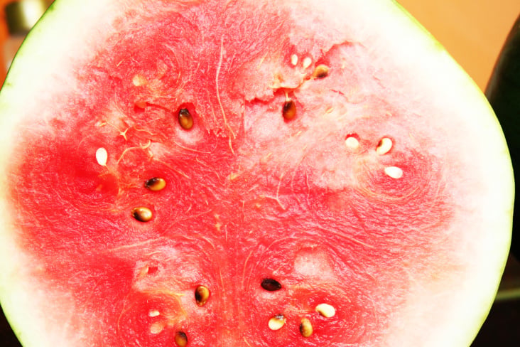 Food Photography 2012  Melone