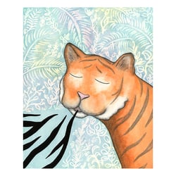 Las Rayas del Tigre