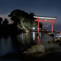 Kawasaki W