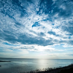 Frankreich, Camargue