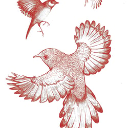vögelchen