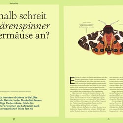„Bärenspinner“ (Wohllebens Welt)