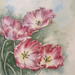 Tulpen – Aquarell