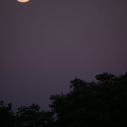 Moon – Jun. 2014 © by Dina.T