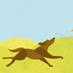 Label, Illustration – Detail