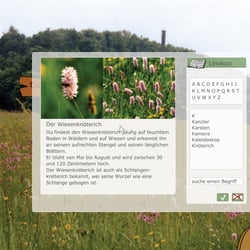 Bubo Bubo – PC Naturlernspiel für Kinder – Grüne Liga Osterzgebirge