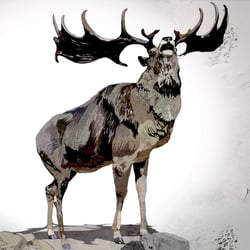 Riesenhirsch