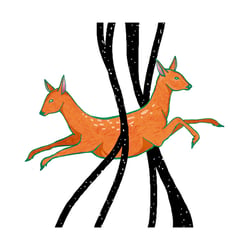 Reh