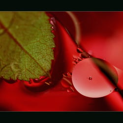 Ohne Titel