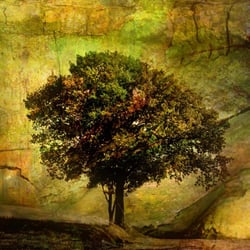 Ein Baum
