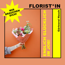 2022 Hosch Stellenanzeige FacebookInstagram Entwurf 1