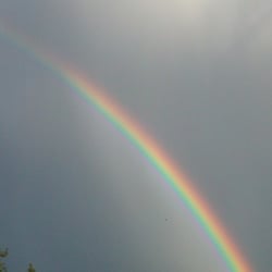 Natur 2012 Regenbogen 03