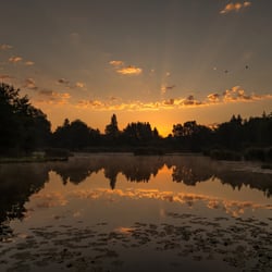 Sonnenaufgang beim Märwiler Weiher, Thurgau