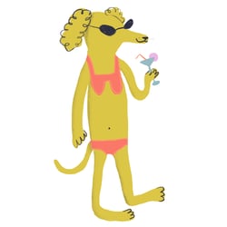 Cool Dog