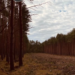 Uckermark / 2022